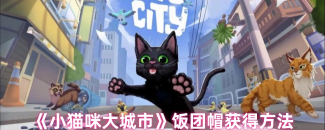 《小猫咪大城市》饭团帽获得方法