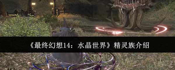 《最终幻想14：水晶世界》精灵族介绍