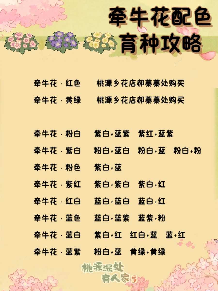 《桃源深处有人家》牵牛花育种配方大全