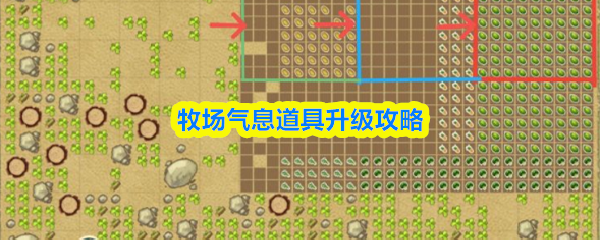 牧场气息道具升级攻略