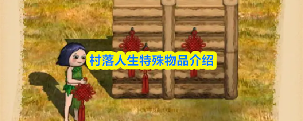 村落人生特殊物品介绍