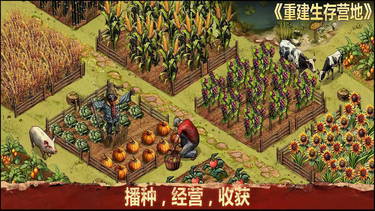 重建生存营地兑换码大全2025