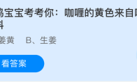 小鸡宝宝考考你：咖喱的黄色来自哪种香料(小鸡宝宝考考你今天的答案是什么)